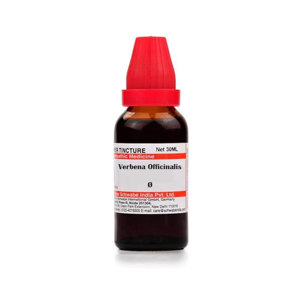 Verbena Officinalis