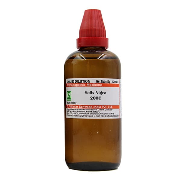 Salix Nigra