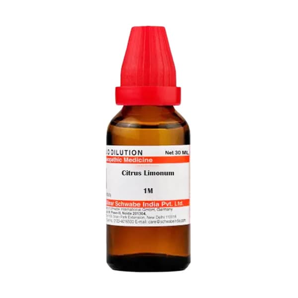 Citrus Limonum