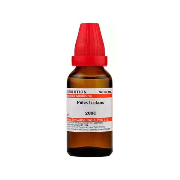 Pulex Irritans