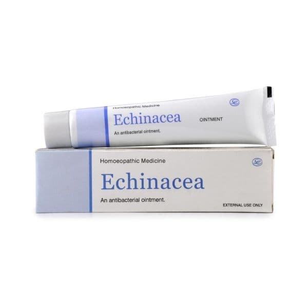 Echinacea Ointment