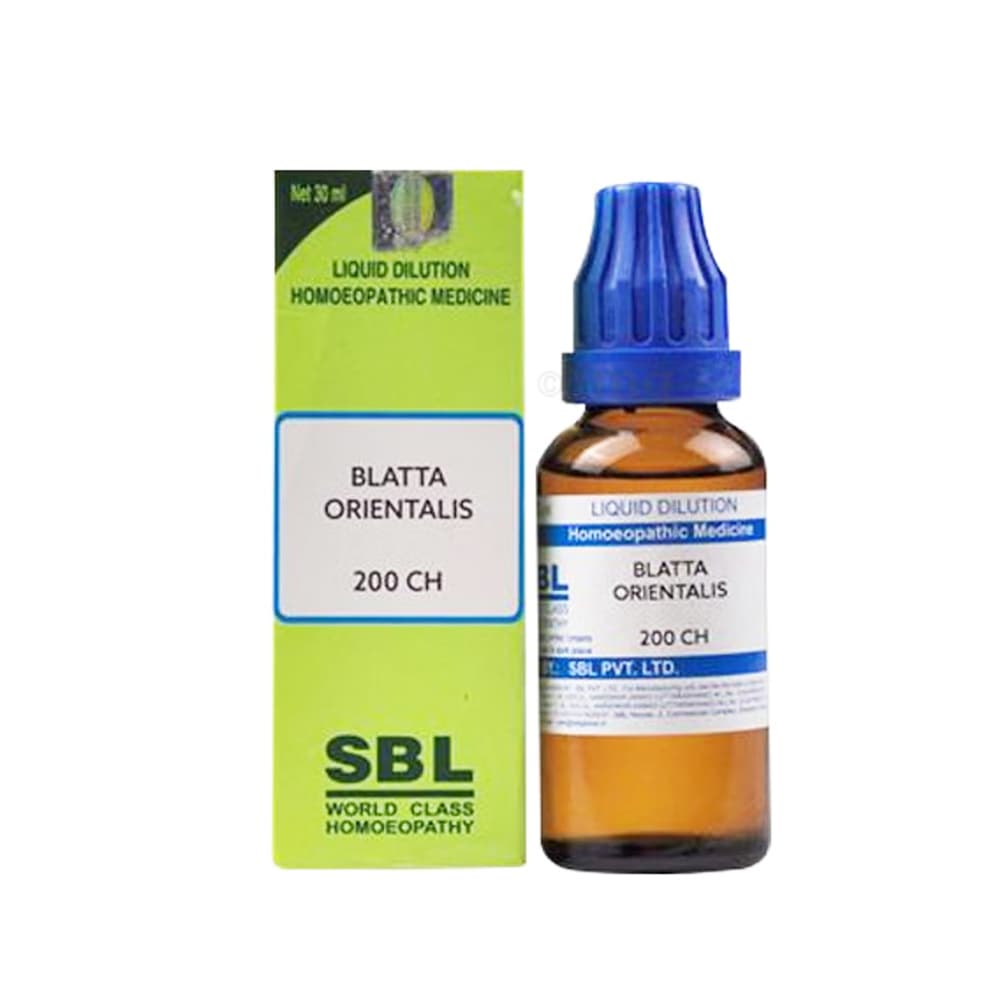 Blatta Orientalis