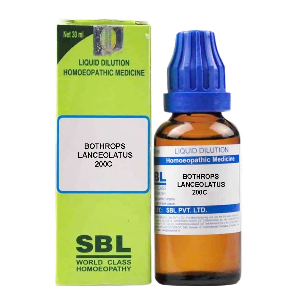 Bothrops Lanceolatus