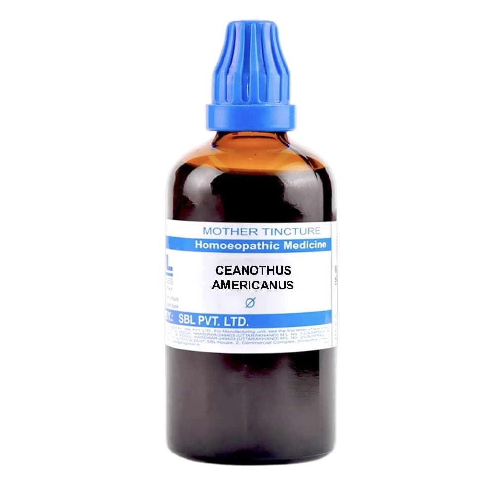 Ceanothus Americanus
