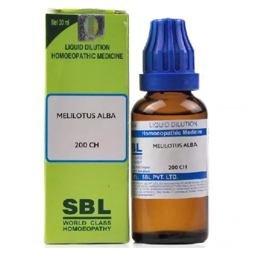 Melilotus Alba