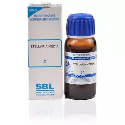 Stellaria Media