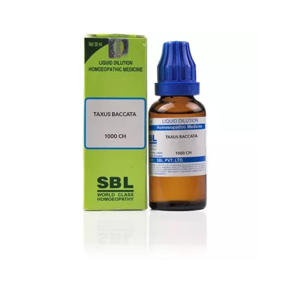 Taxus Baccata