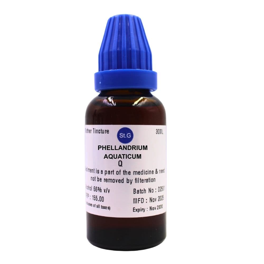 Phellandrium Aquaticum