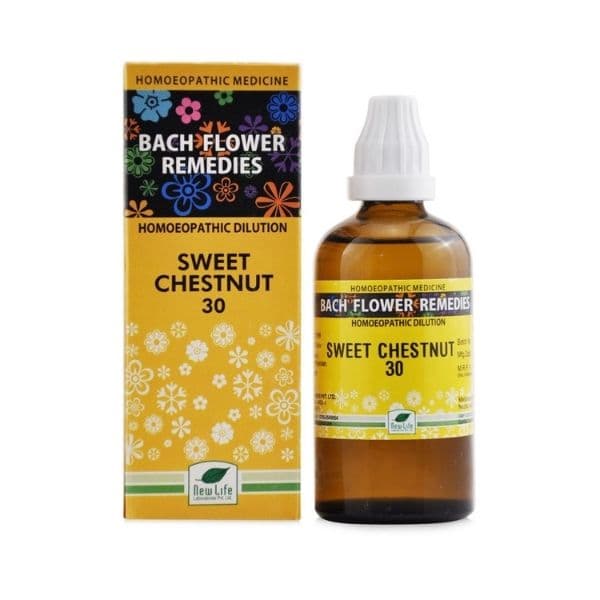 Sweet Chestnut