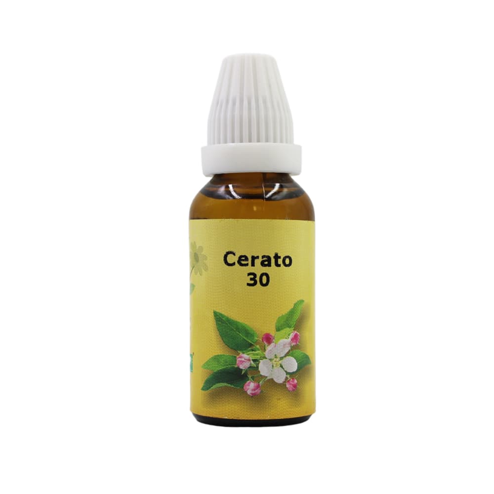 Cerato