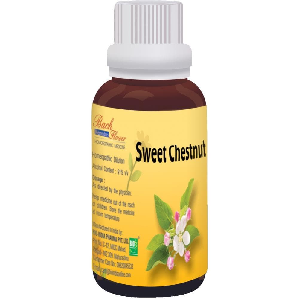 Sweet Chestnut