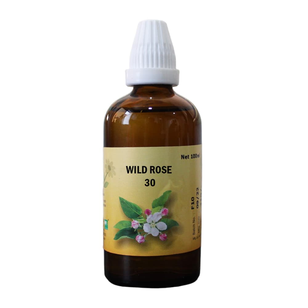 Wild Rose