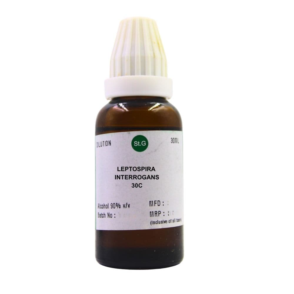 Leptospira Interrogans