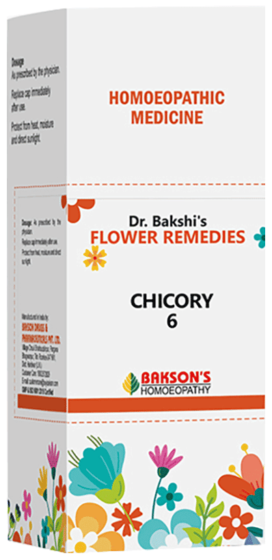 Chicory
