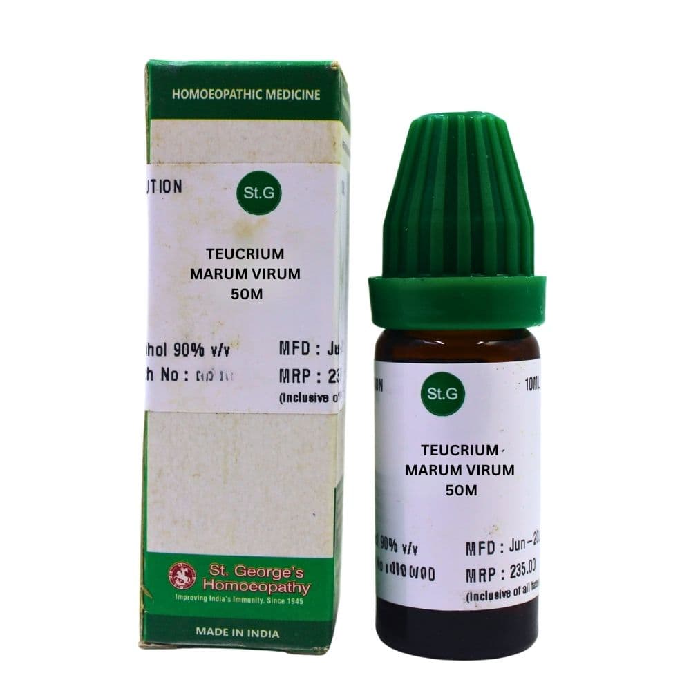 Teucrium Marum Virum