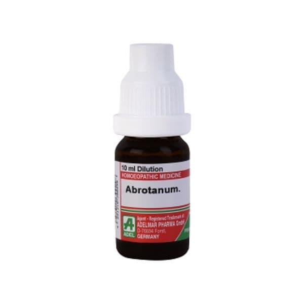 Abrotanum