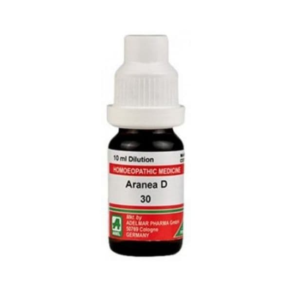 Aranea Diadema