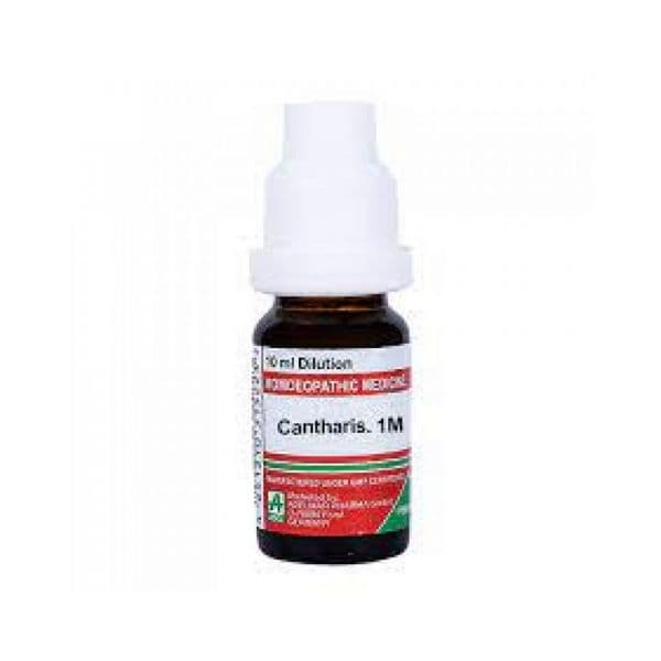 Cantharis