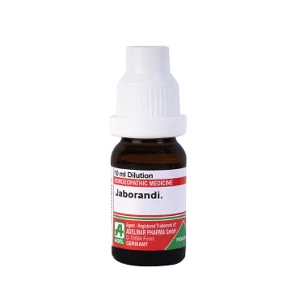 Jaborandi