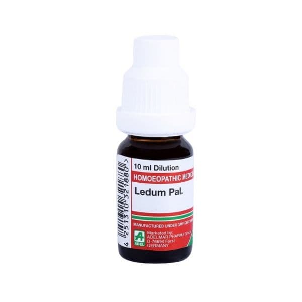 Ledum Palustre
