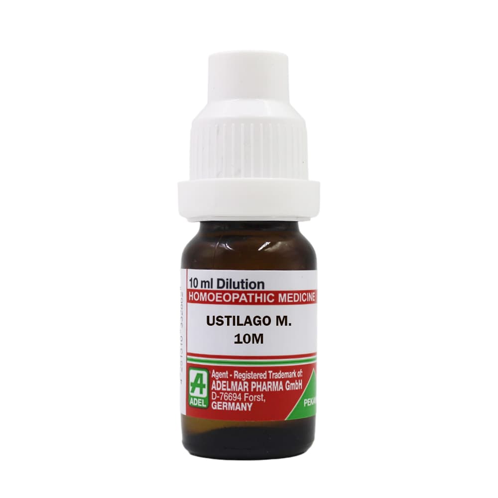 Ustilago Maydis