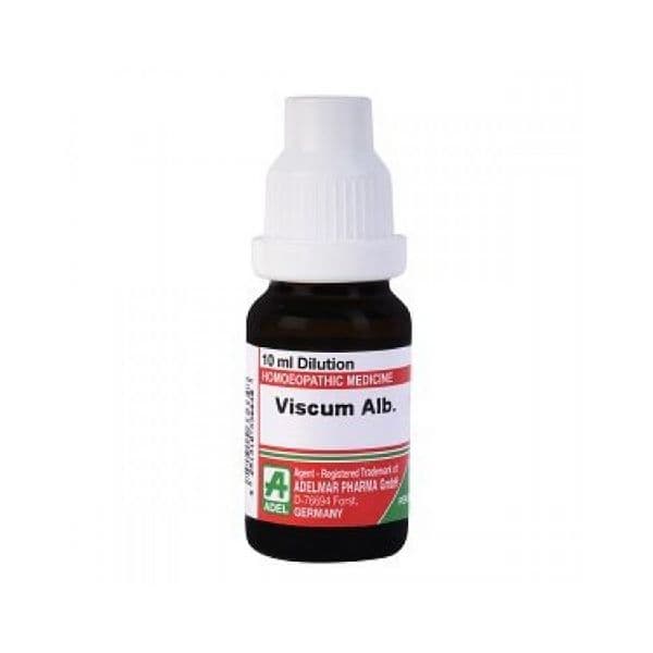 Viscum Album