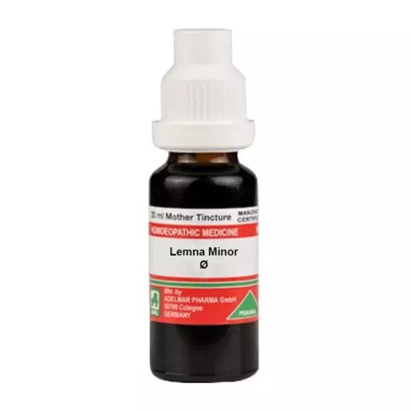 Lemna Minor