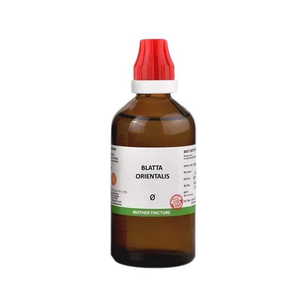 Blatta Orientalis