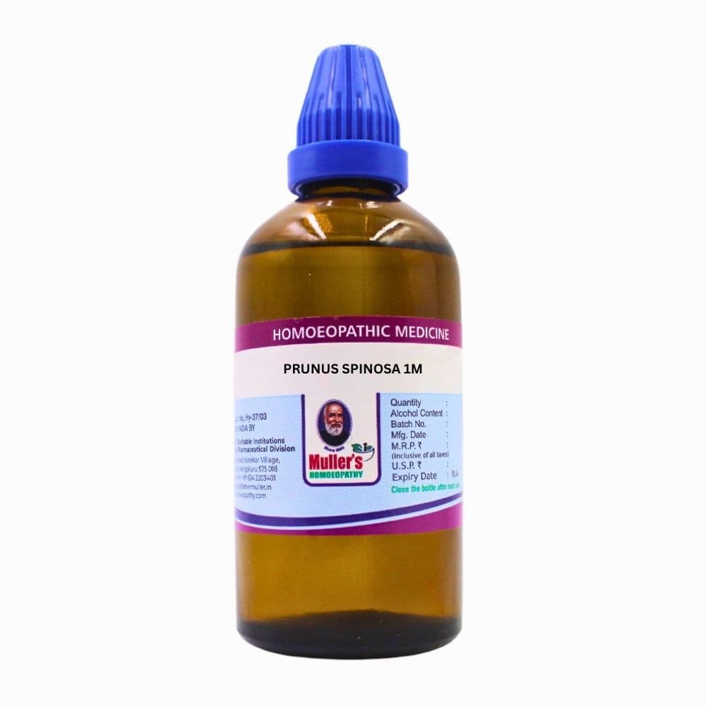 Prunus Spinosa